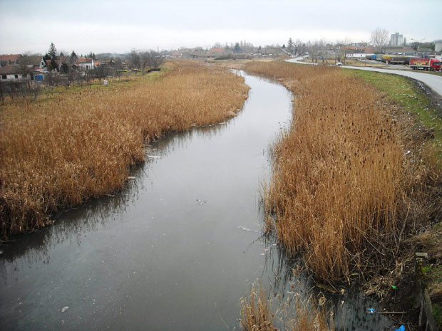 ИЗЛЕЧЕЊЕ ВЕЛИКОГ БАЧКОГ КАНАЛА: Третман муља зеолитом?